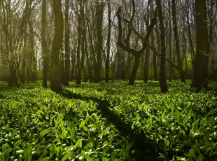 訪農戶，送技術！ “中國農資”現代農業服務團隊助力秋糧生產