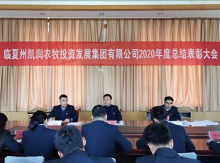 回首凝心聚力 展望未來可期 ——州農投公司召開2020年度總結表彰大會